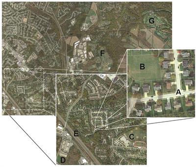 Urban Grassland Management Implications for Soil C and N Dynamics: A Microbial Perspective